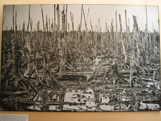 Aftermath of Agent Orange-War Remnants Museum, Saigon
